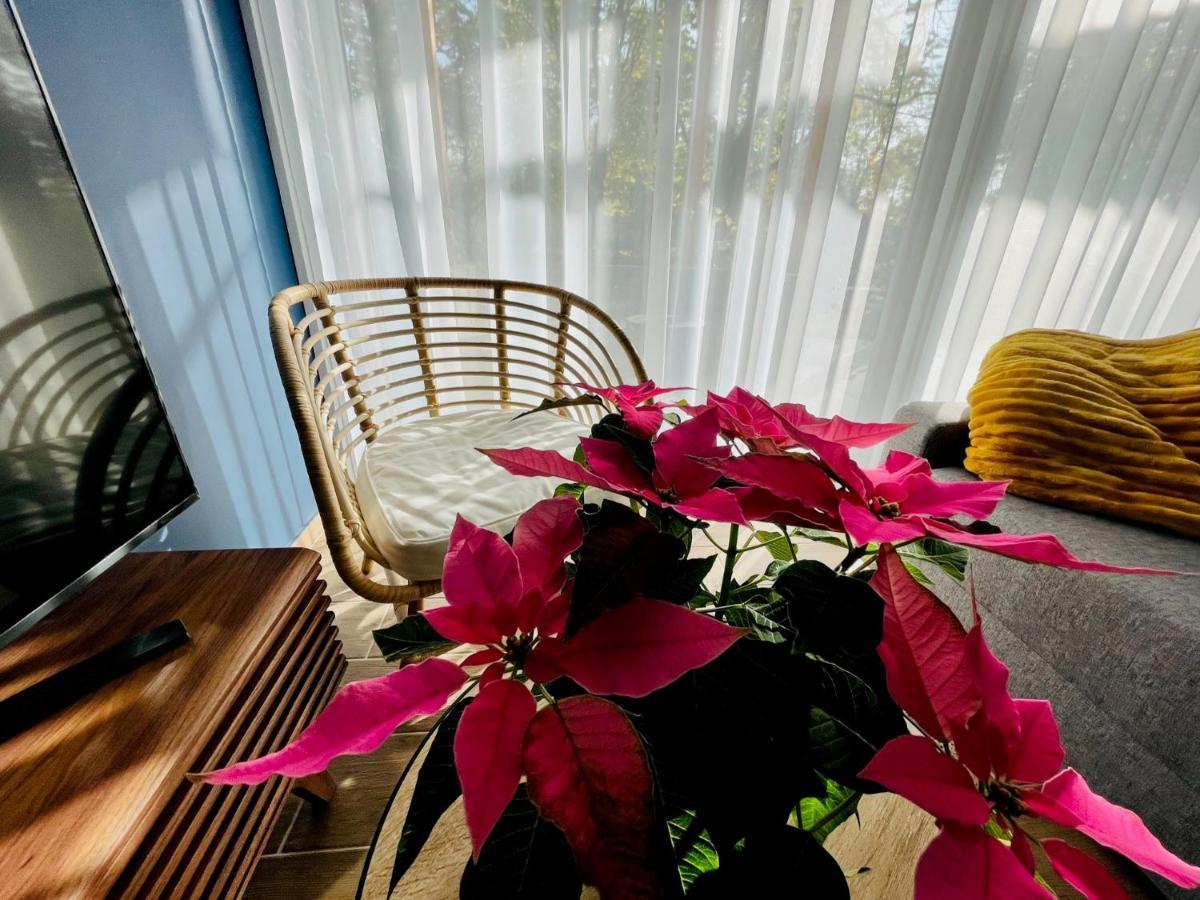 Aranygesztenye Apartmanhaz バラトンウドヴァリ エクステリア 写真